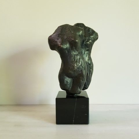 Torso man-vrouw I